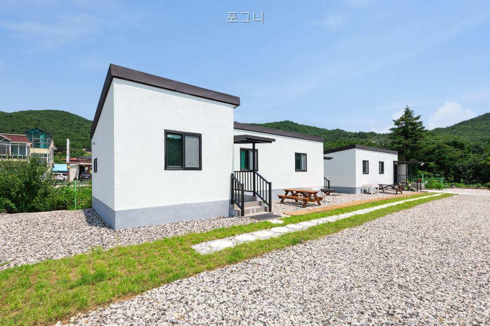 포그니 사진 3