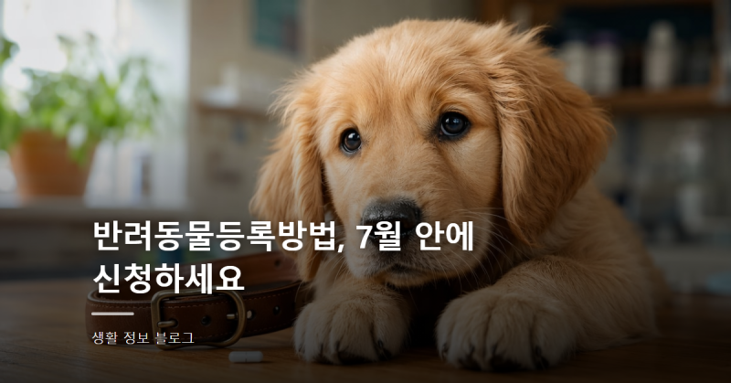 반려동물등록방법, 7월 안에 신청하세요