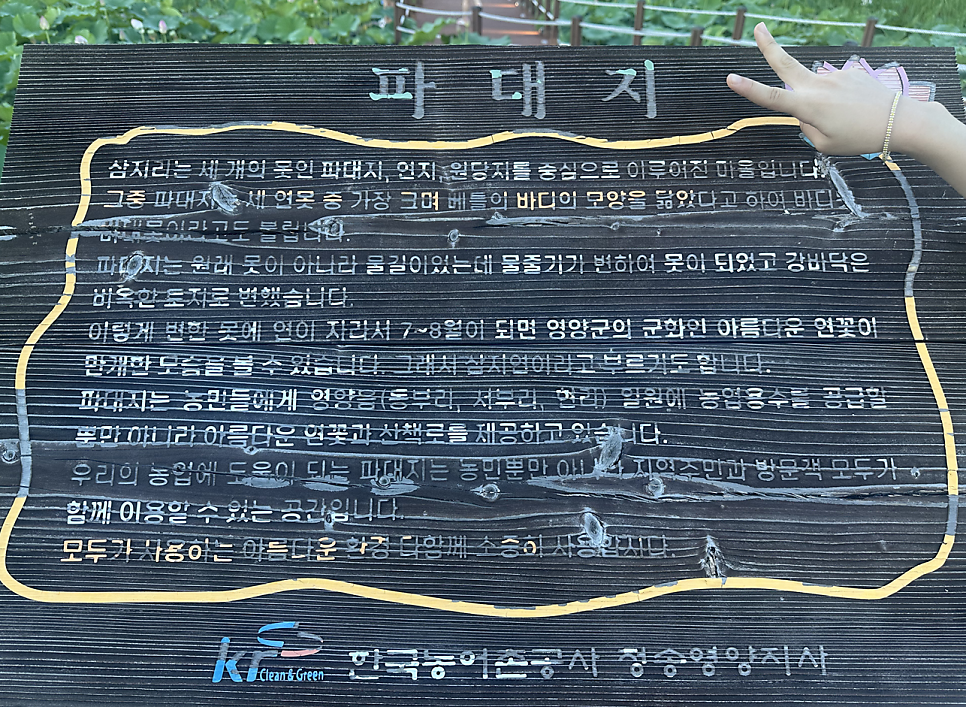 파대지 사진 1