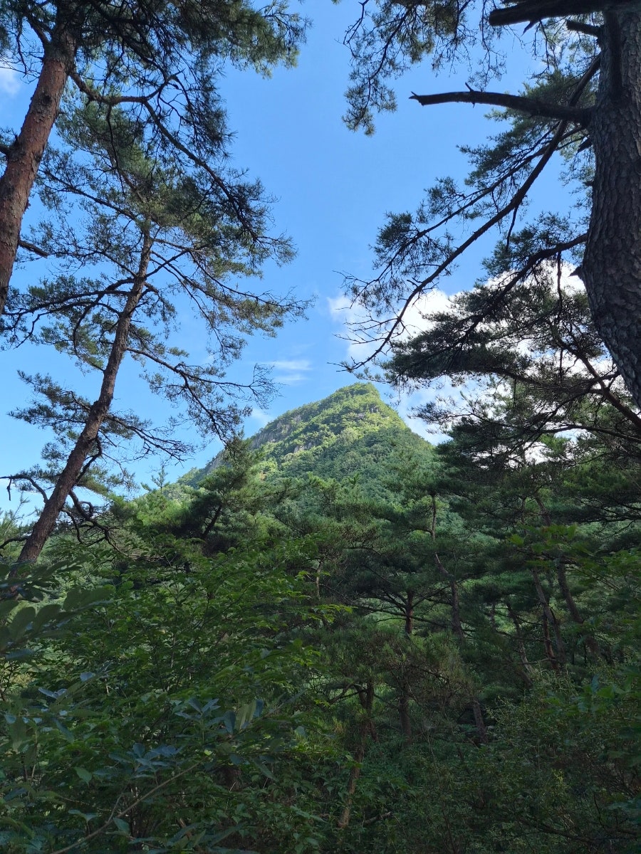 보해산 사진 6