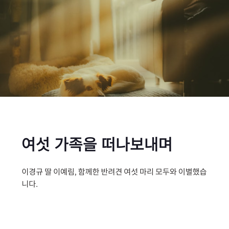 이경규 딸 이예림 반려견 이별, 여섯 가족을 떠나보낸 먹먹한 소식