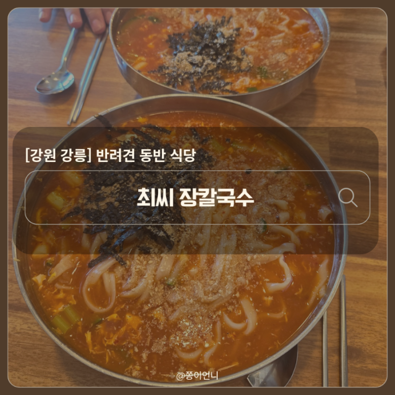 [강원 강릉] 최씨 장칼국수 - 강문해변 앞 반려견 동반 가능한 장칼국수집
