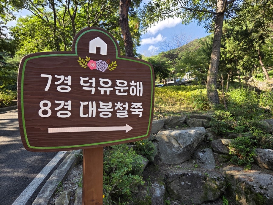 대봉산자연휴양림 사진 4