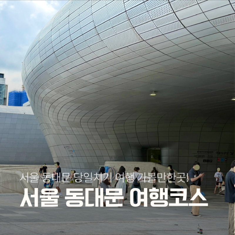 서울 동대문 뚜벅이 당일치기 여행코스 DDP 근처 놀거리 데이트