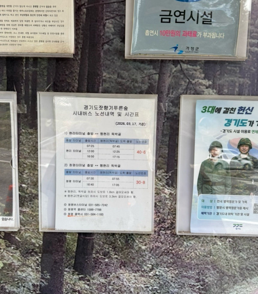 잣향기푸른숲 사진 3