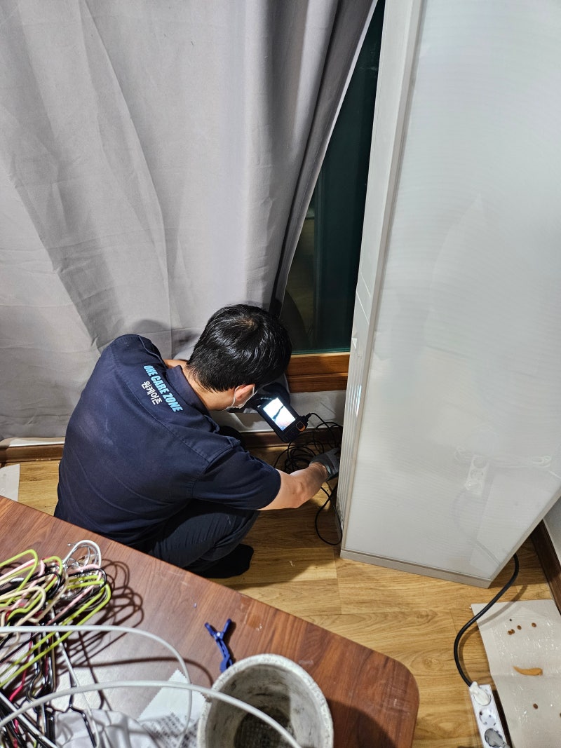 쥐 한 마리가 가족 건강을 무너뜨린다, 구미 쥐 퇴치 전에 반드시 알아야 할 것