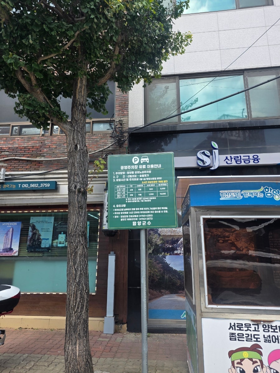 양지식당 사진 1