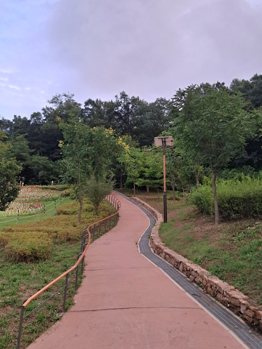 남산 사진 5