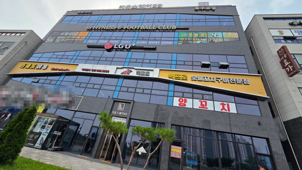 Baekpeurosutbulkkochiguijeonmunjeom photo 1