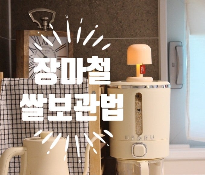 쌀벌레 접근금지! 눅눅한 장마철 쌀통 쌀보관 방법