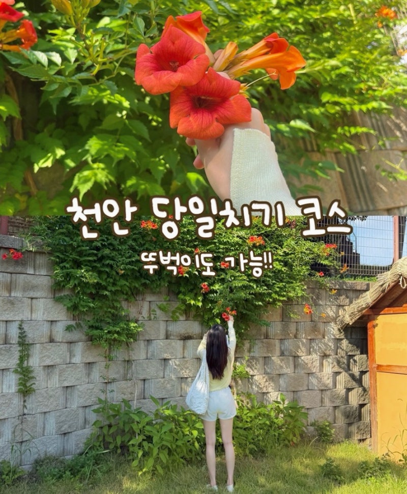 [천안] 당일치기 여행 코스 추천ㅣ뚜벅이도 가능한 천안 1일 코스 총정리