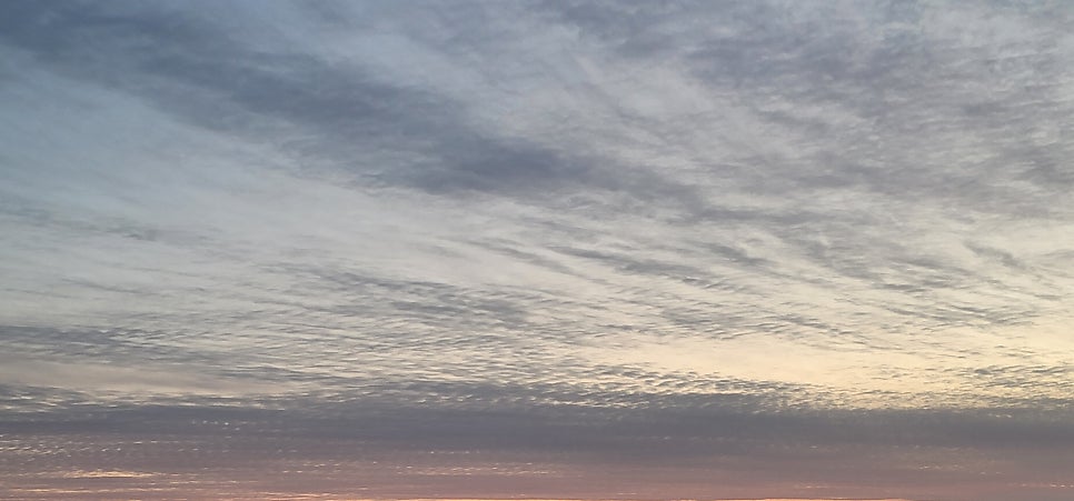 하원가 사진 6