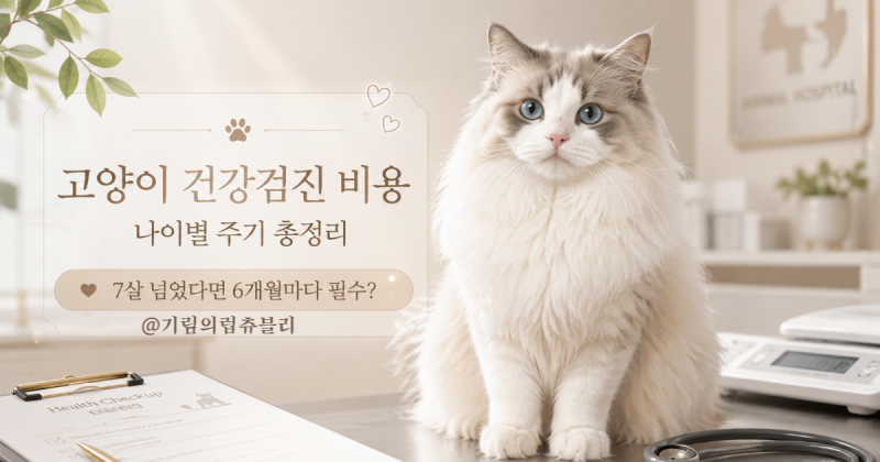 고양이 건강검진 비용 나이별 주기 총정리: 7살 넘었다면 6개월마다 필수?