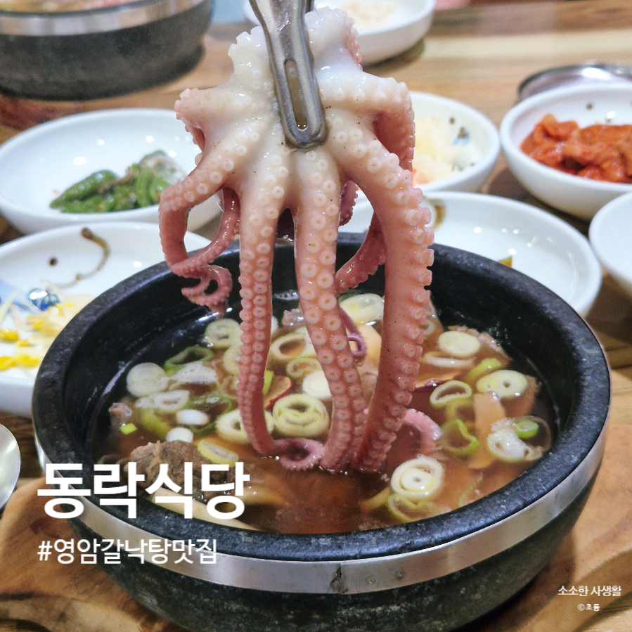 동락 사진 1