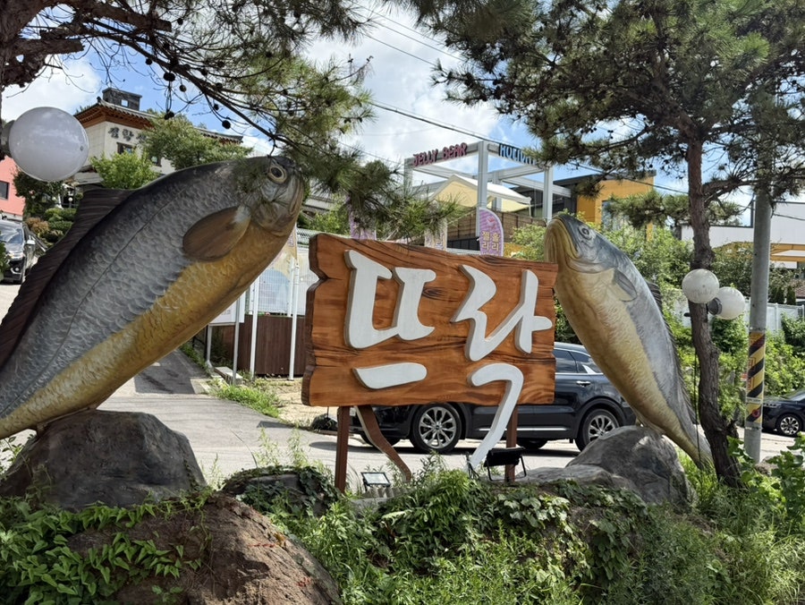 보리 사진 2