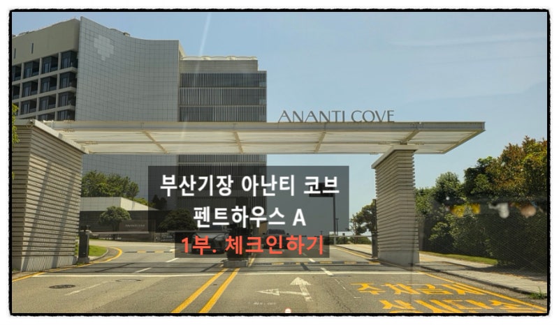 [Busan Gijang Accommodation] Ananti Cove Penthouse Terrace Pool House A Stay Review - Check-in Episode