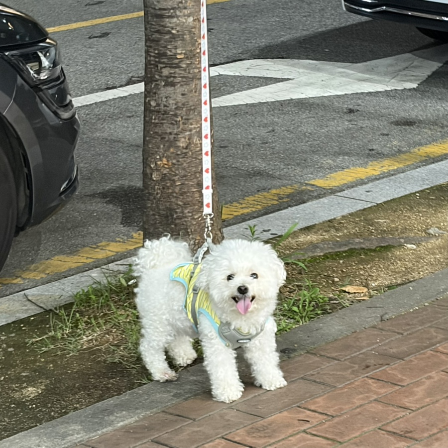 스타동물병원 사진 1