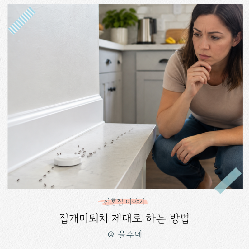 '개미약을 놓아도 계속 나온다면?', 집개미퇴치 제대로 하는 방법