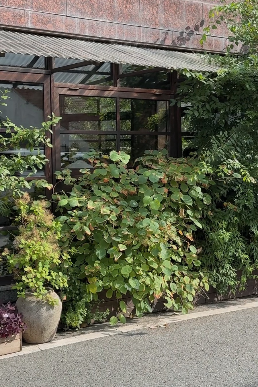 와일드그라스 도상점 사진 5