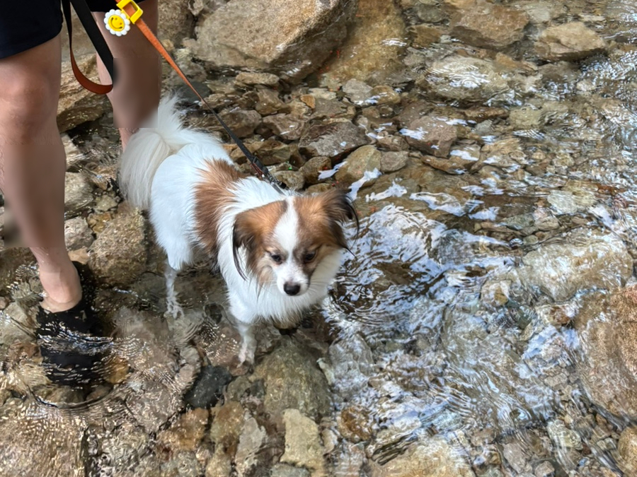 광주식당 사진 6