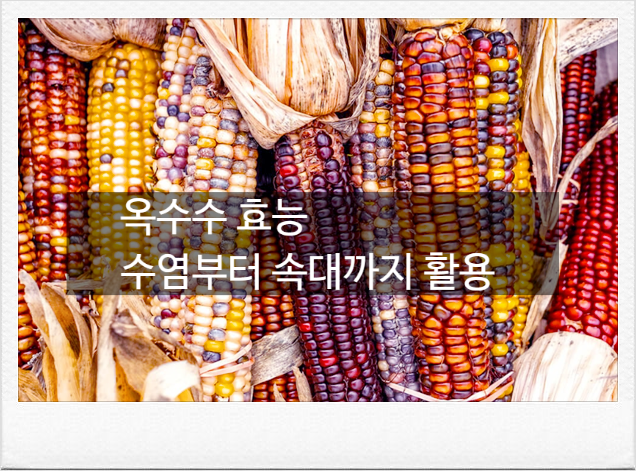 아직도 옥수수 알맹이만 드시나요? 옥수수 수염부터 속대까지 옥수수효능 총정리