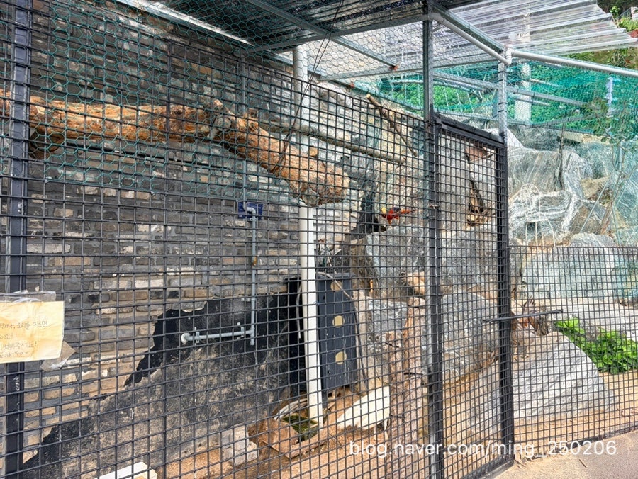 바닷 사진 6
