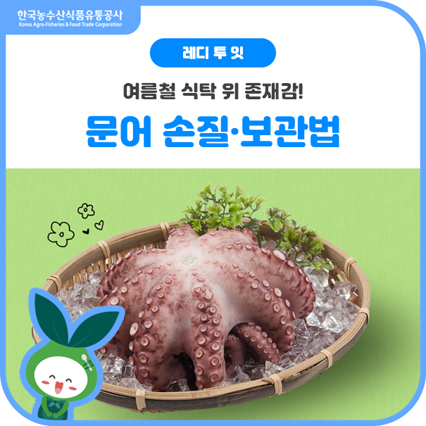 여름 손님상 치트키✨문어손질부터 보관까지