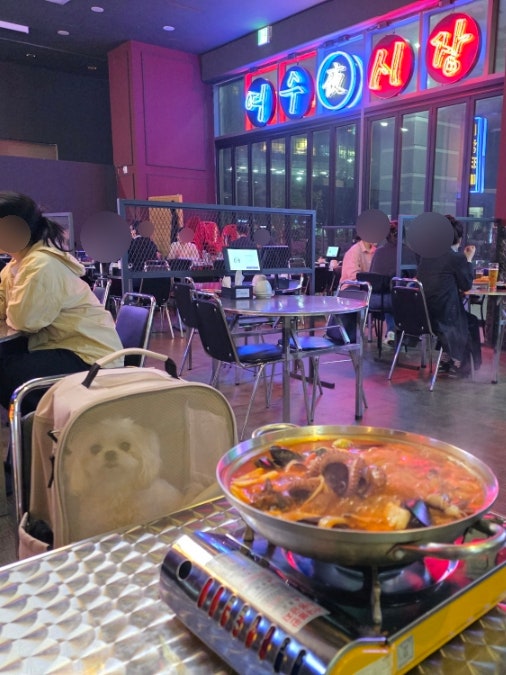 여수 애견동반 식당 유탑마리나 야시장 강아지동반식당