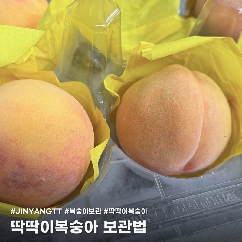 딱딱이복숭아 보관법, 이것만 지키면 끝까지 달고 싱싱하게