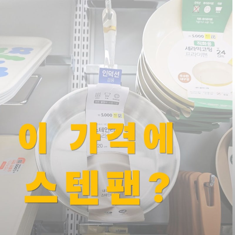다이소 스테인리스 프라이팬 "이 금액에 스테인리스?" 요즘 눈에 띄는 주방용품