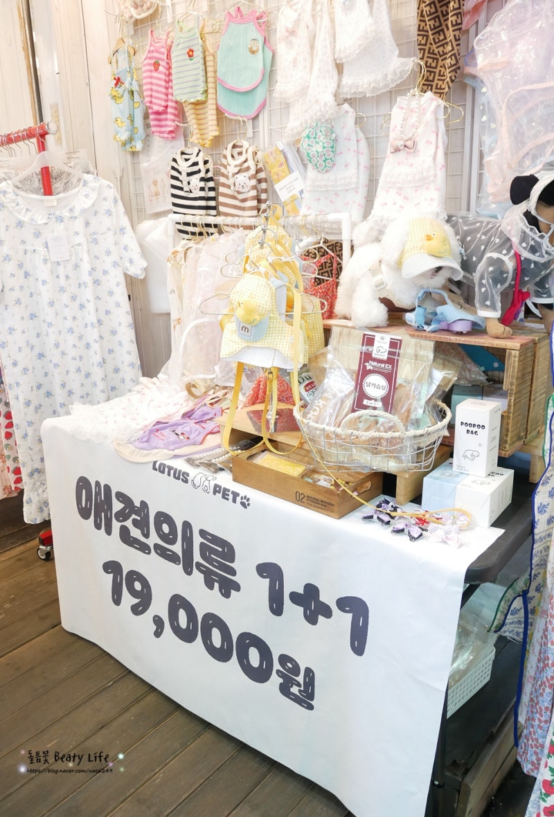 부산 여행 깡통시장 나들이, 강아지 진드기 방지 옷 하네스 여름잠옷 실버주얼리 다 있네