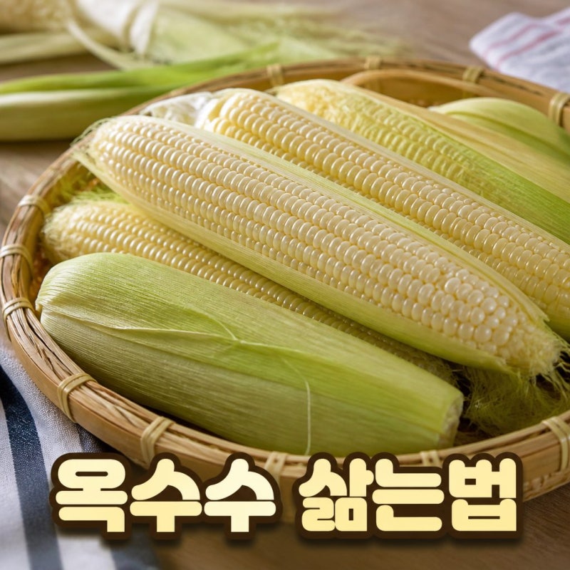 옥수수 삶는법 찰옥수수 삶는 시간과 보관방법 껍질 버리는방법