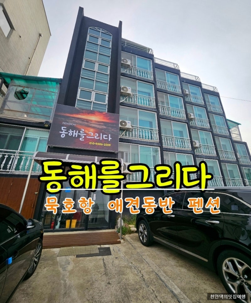 동해 묵호 숙소 오션뷰 애견동반 펜션 동해를그리다