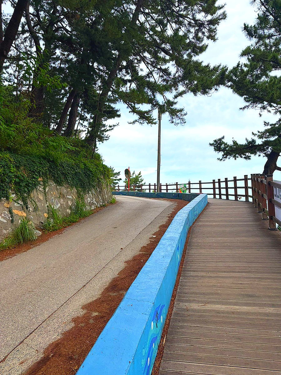 고불개해변 사진 5