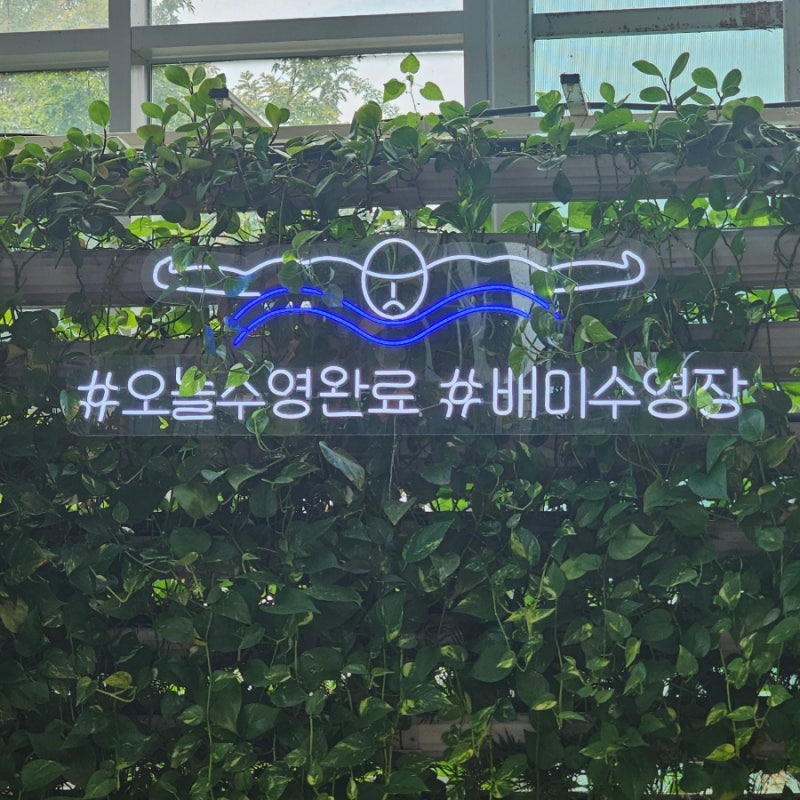 자유롭게 수영 가능한 아산 배미수영장