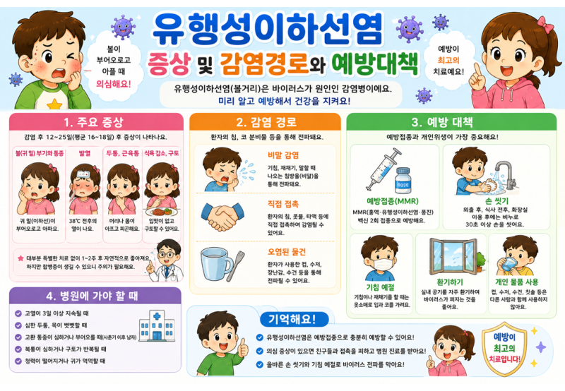유행성이하선염증상및감염경로와예방대책