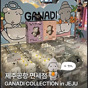 [제주] JDC 면세점 신상 가나디 제주 인형 (가격/판매위치/품절현황)