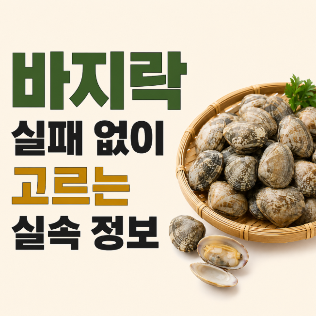 꼭 봄에 먹어야 할까? 바지락 제철 시기와 마트에서 실패 없이 고르는 실속 정보