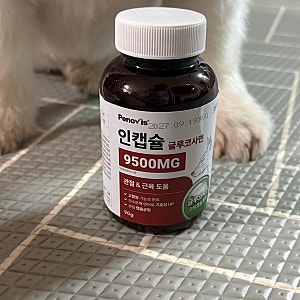 강아지 관절영양제 추천! 페노비스 관절강화 영양제 꾸준히 급여 중인 후기