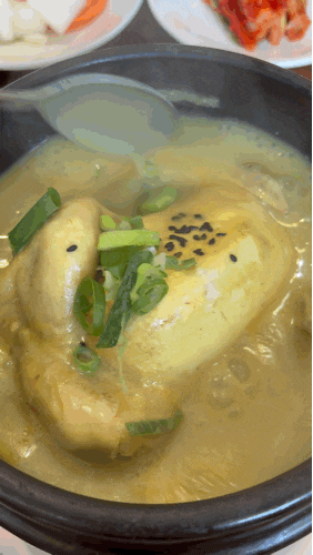 복날엔 뭐다? 삼계탕이다 :: 경기 안산 삼계탕 맛집 추천 '백세 삼계탕 안산점'