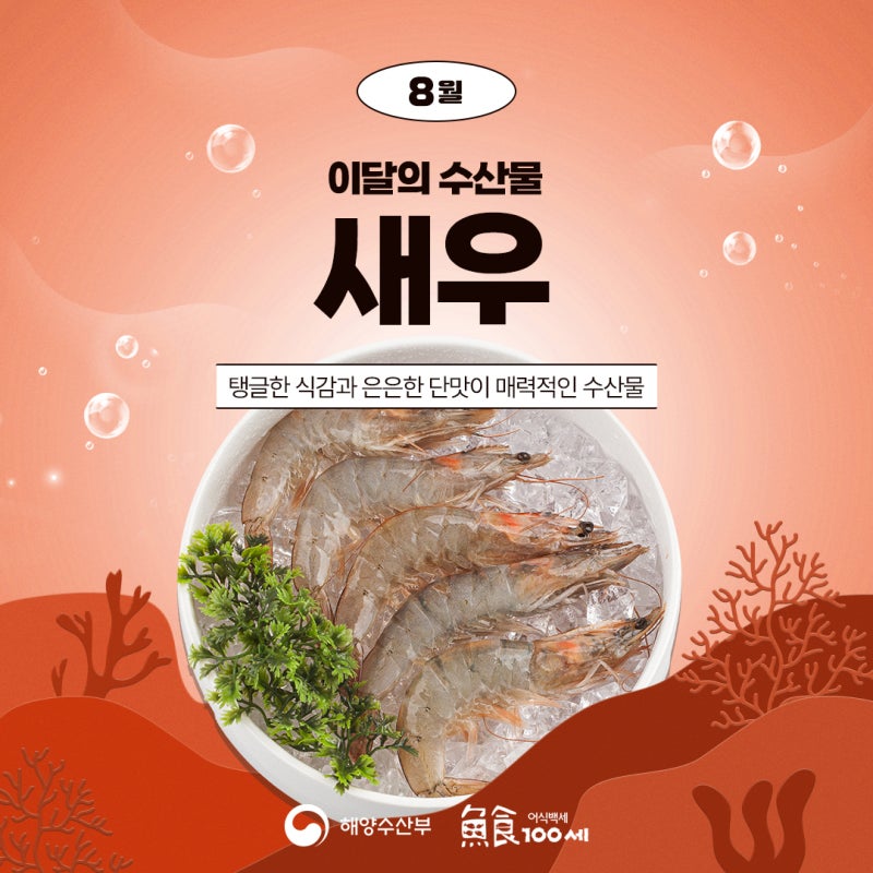 8월 이달의 수산물 새우 | 새우 고르는 법, 손질법, 보관법, 요리법
