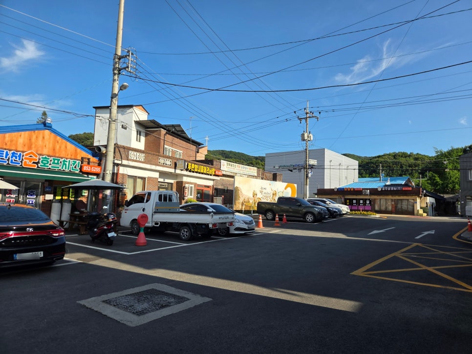 탄천 사진 3