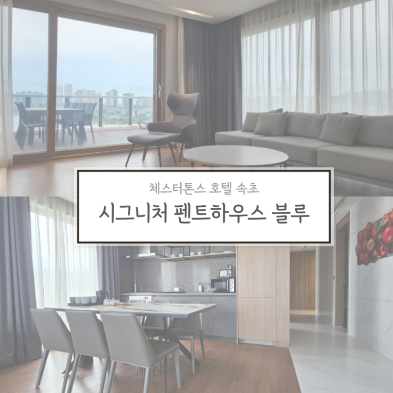 속초 대가족 숙소 추천 | 체스터톤스 호텔 시그니처 펜트하우스
