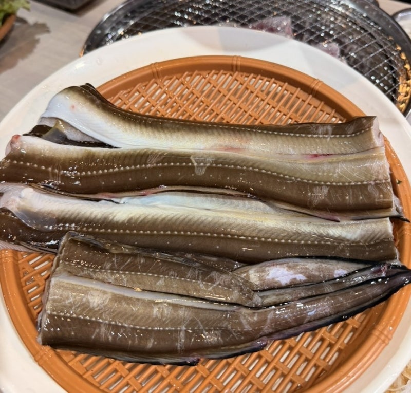 창원 장어구이맛집 마산뱃놈 통영에서 직접공수해오는 바다장어맛집