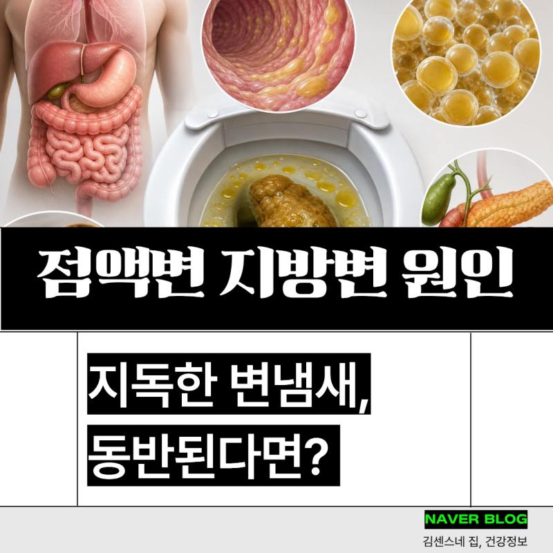 점액변 지방변(기름변) 원인, 지독한 대변냄새 동반된다면?
