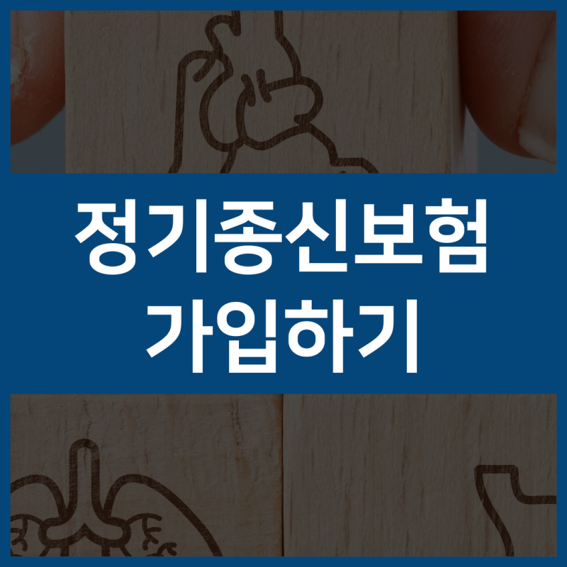변액유니버셜종신보험 특징과 장단점 해지 전 확인할 내용