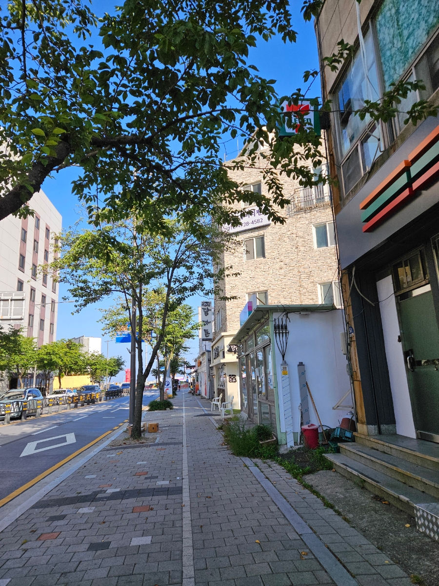 담다돈 사진 1