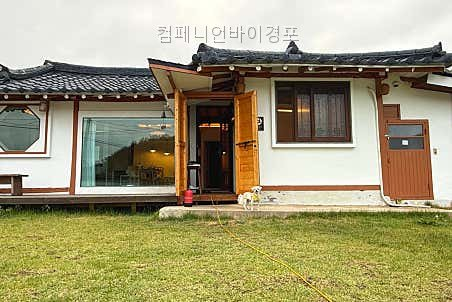 컴페니언바이경포 사진 5