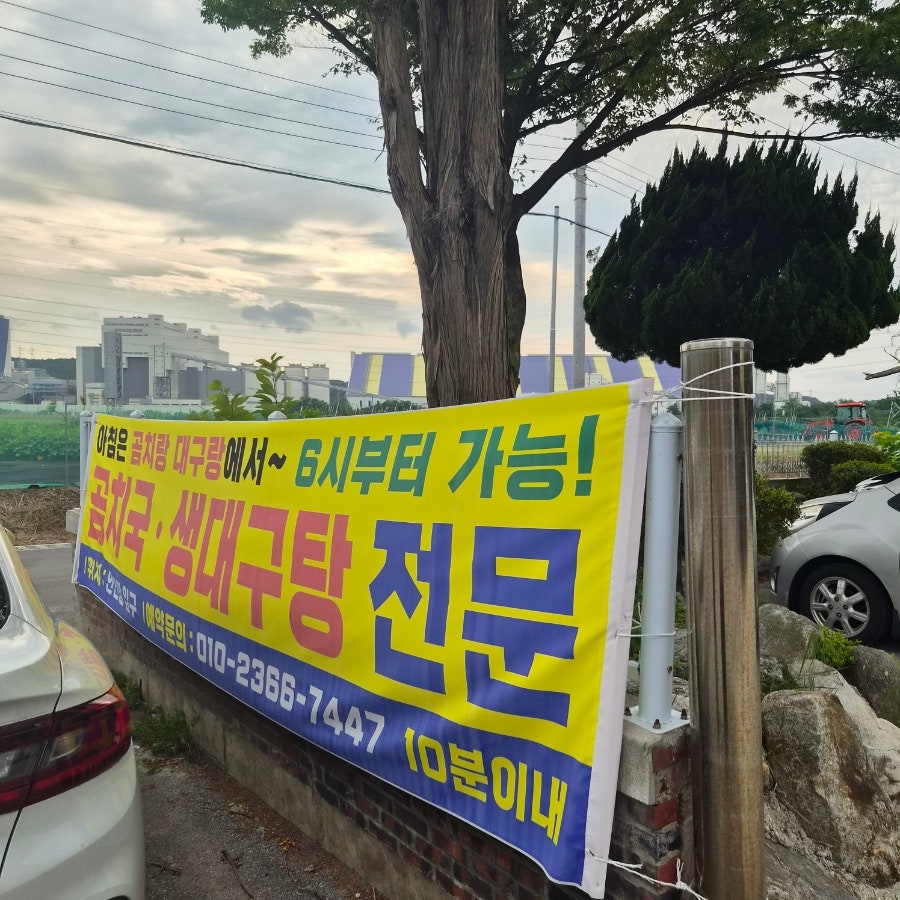 곰치랑대구랑 사진 5