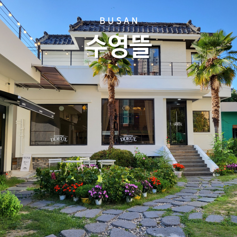 부산 수영 대형 카페 수영뜰 민락역 애견동반 주차 가능